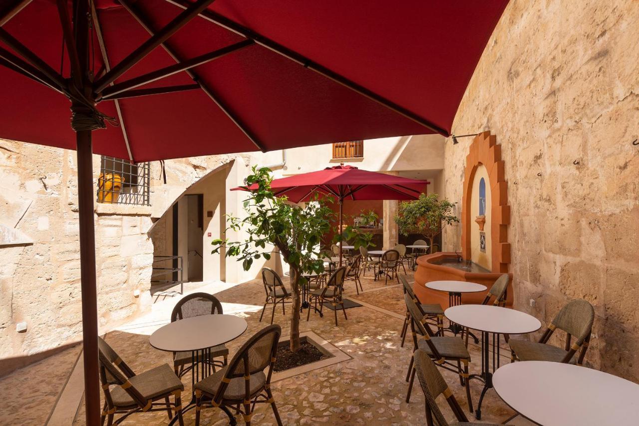 Cirera Palma de Maiorca
