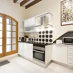Apartamento Sa Calatrava