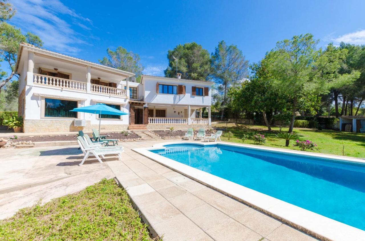 Your House Marques Pousada *