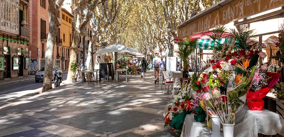 Guest house Rambla Center Palma de Mallorca