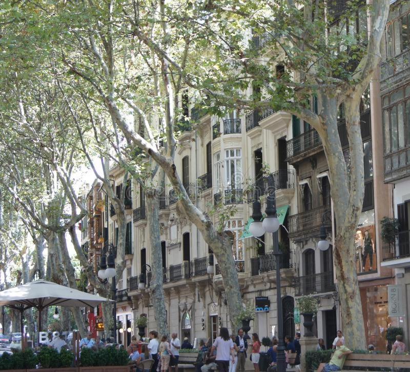 Rambla Center * Palma de Mallorca