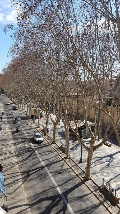 Rambla Center * Palma de Mallorca