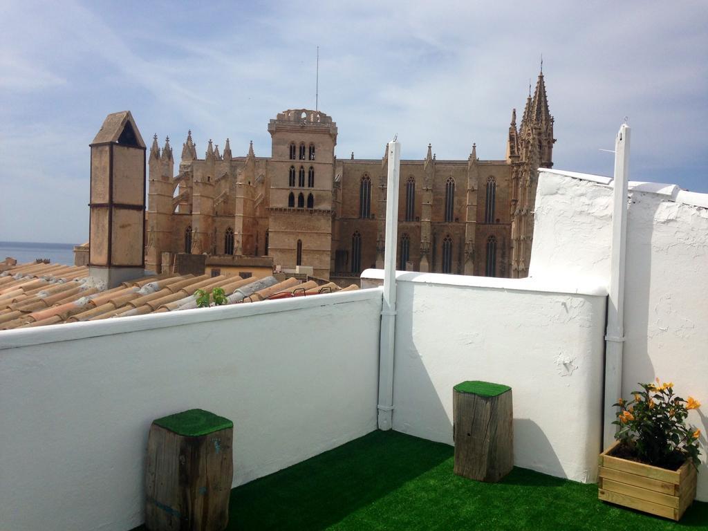 Pura Vida - Juvenil * Palma