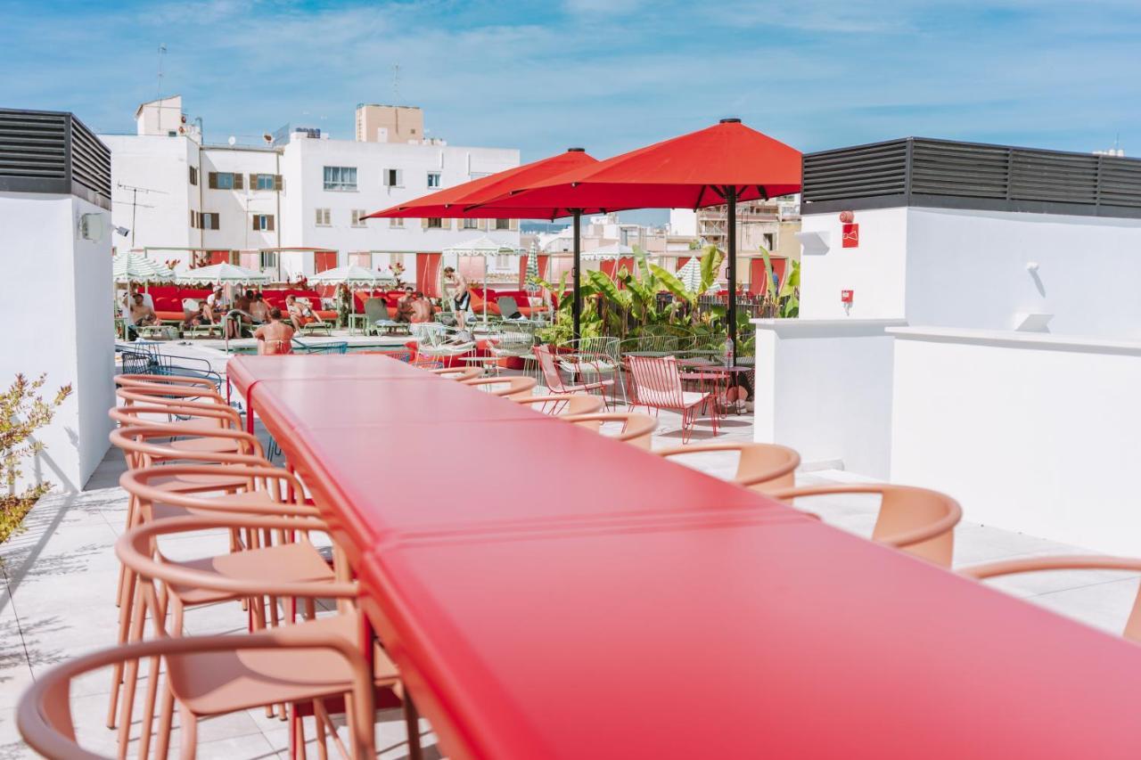The Boc - Hostel