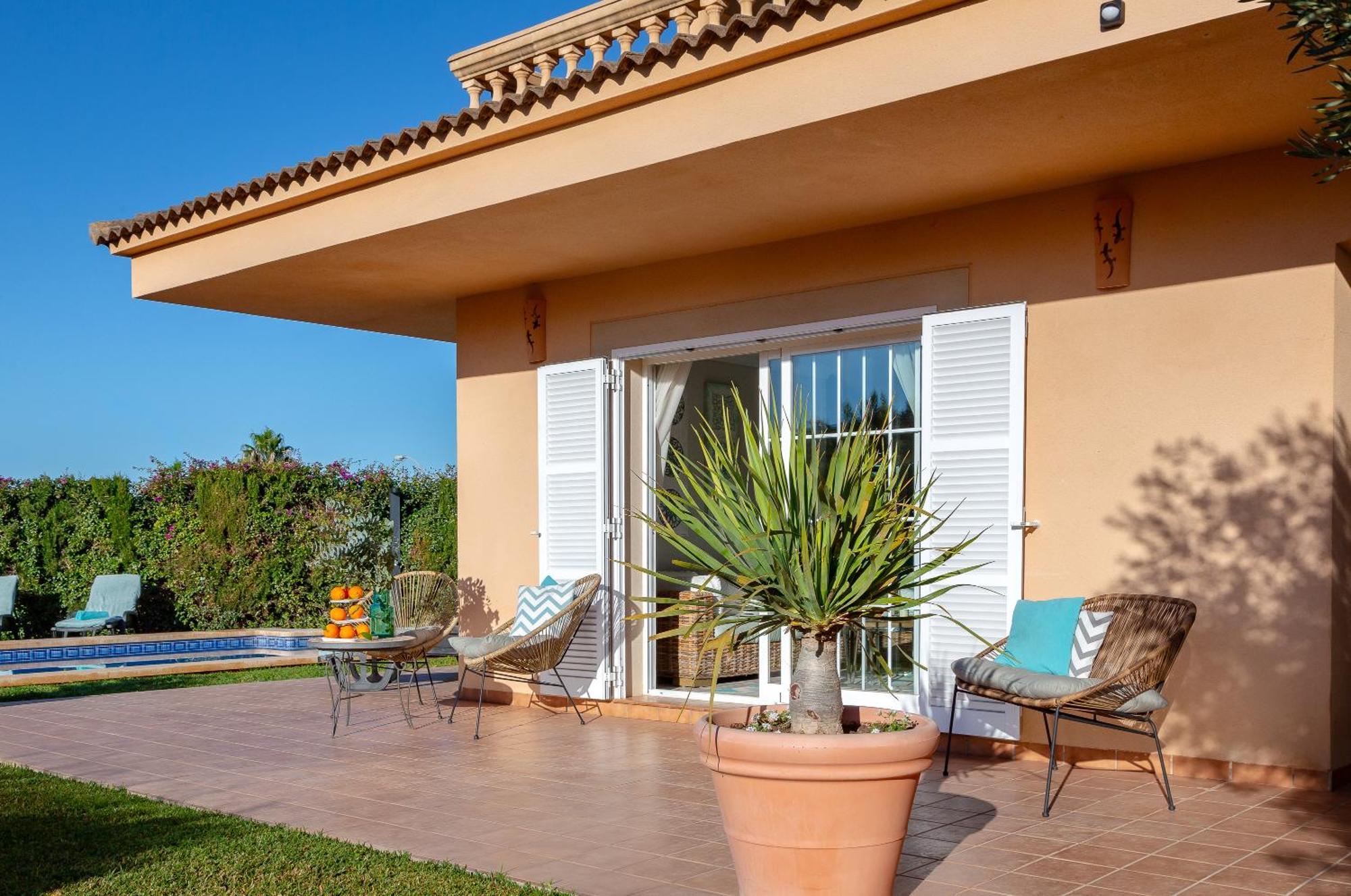 Palmera * Palma