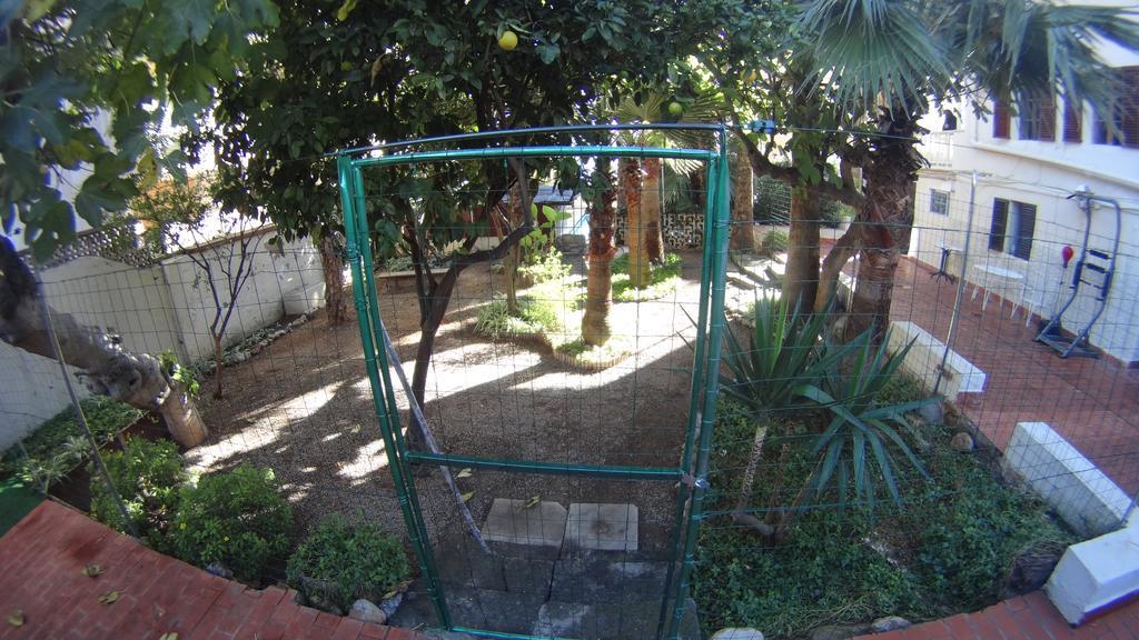 La Mimosa Palma de Maiorca