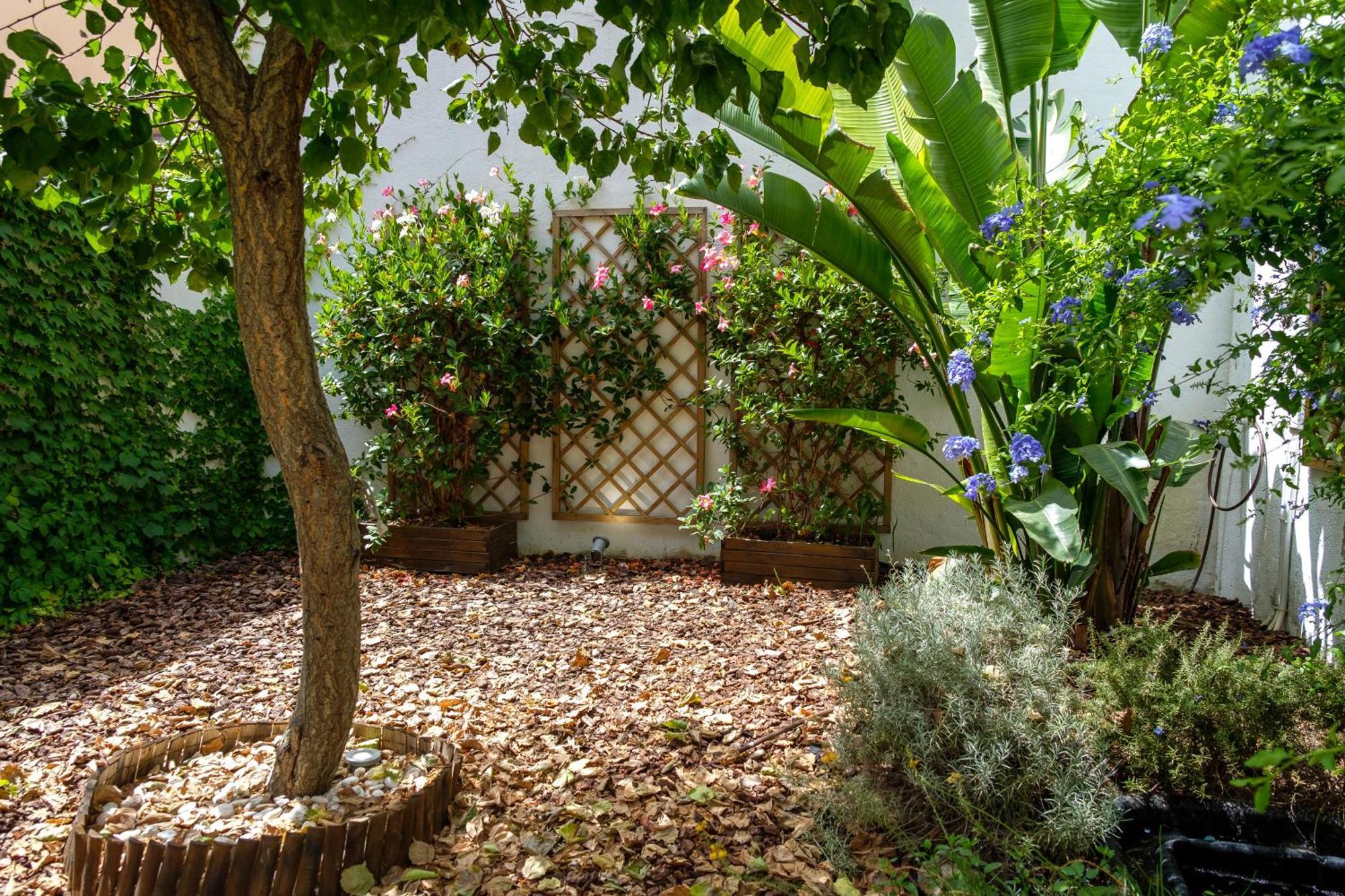 Holiday home Pretty House Sa Font In Santa Catalina