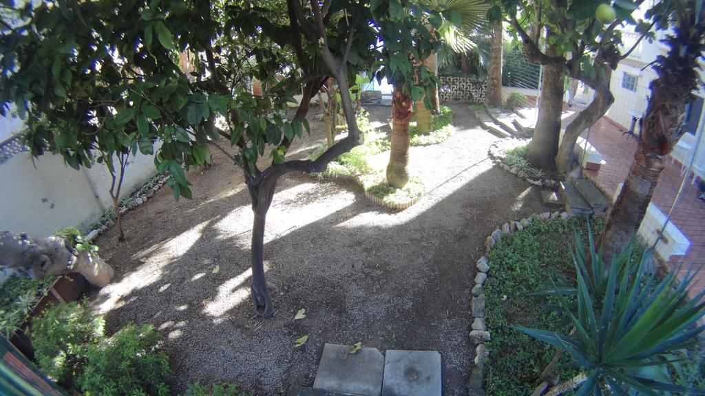 La Mimosa Casa de hóspedes Palma de Maiorca