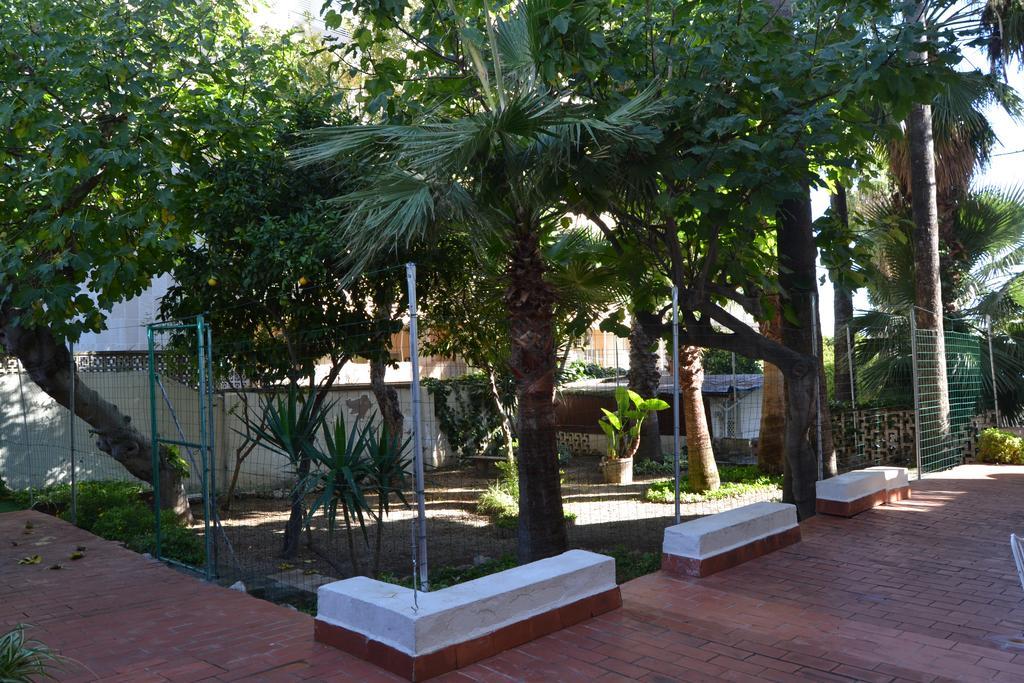 La Mimosa Palma de Maiorca