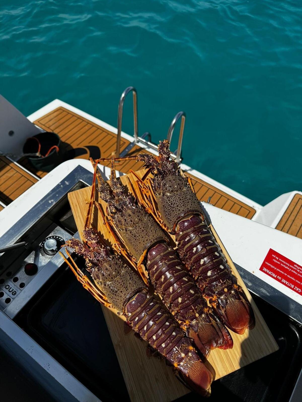 Botel Fox Bali Palma de Mallorca