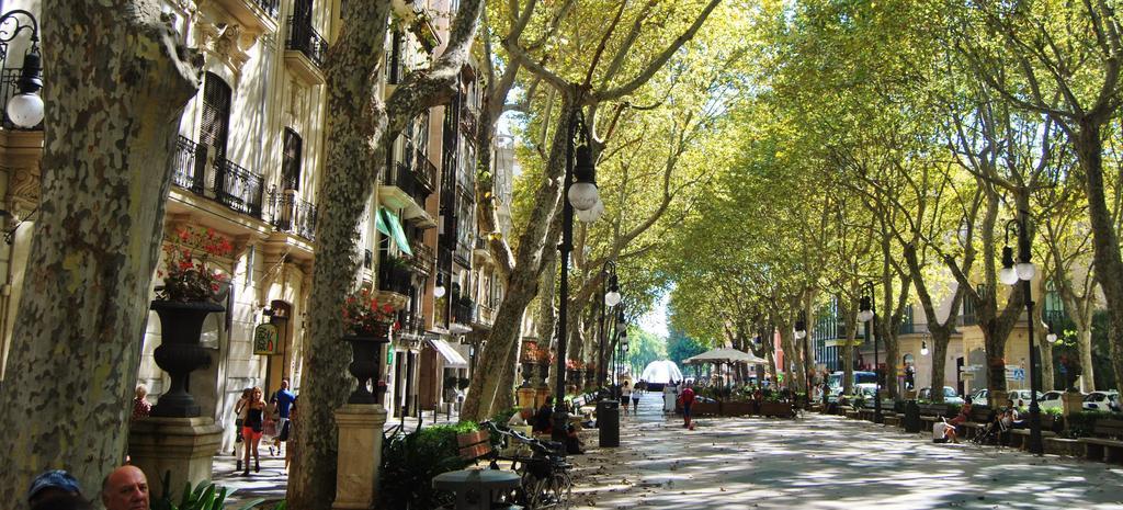 Borne Ti By Mallorcasuites Palma de Mallorca