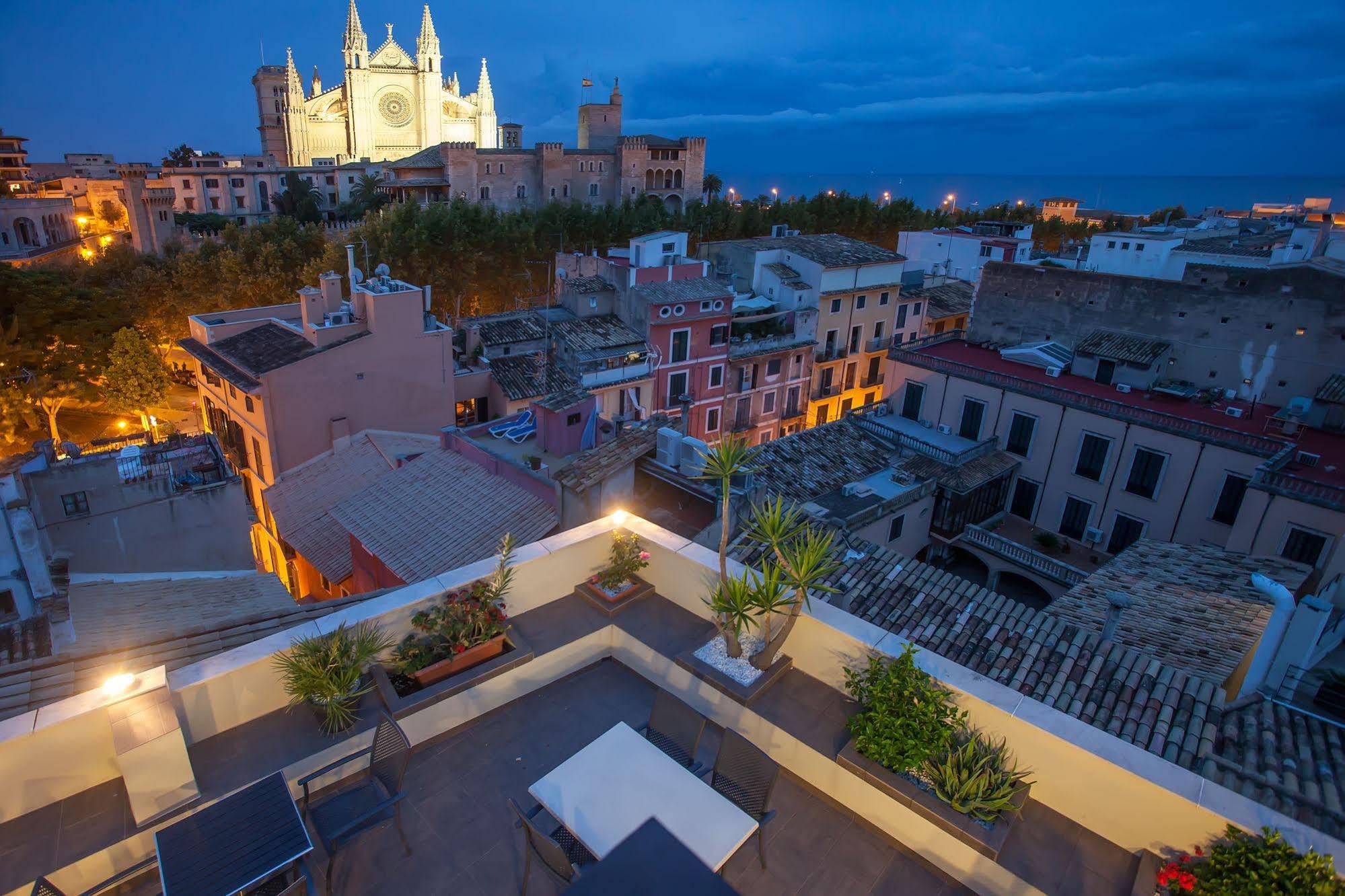 Apuntadores 8 2* Palma