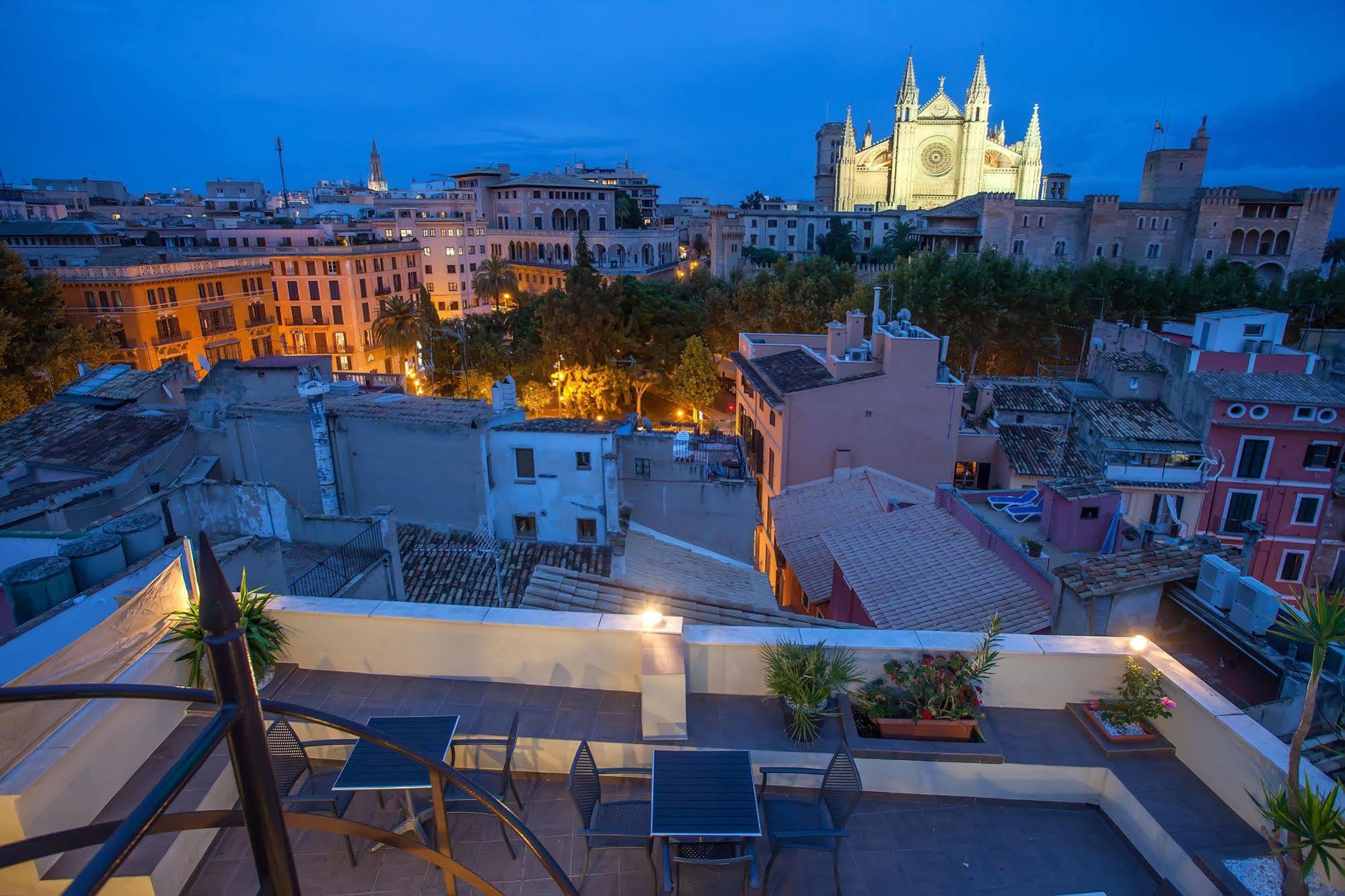Apuntadores 8 2* Palma