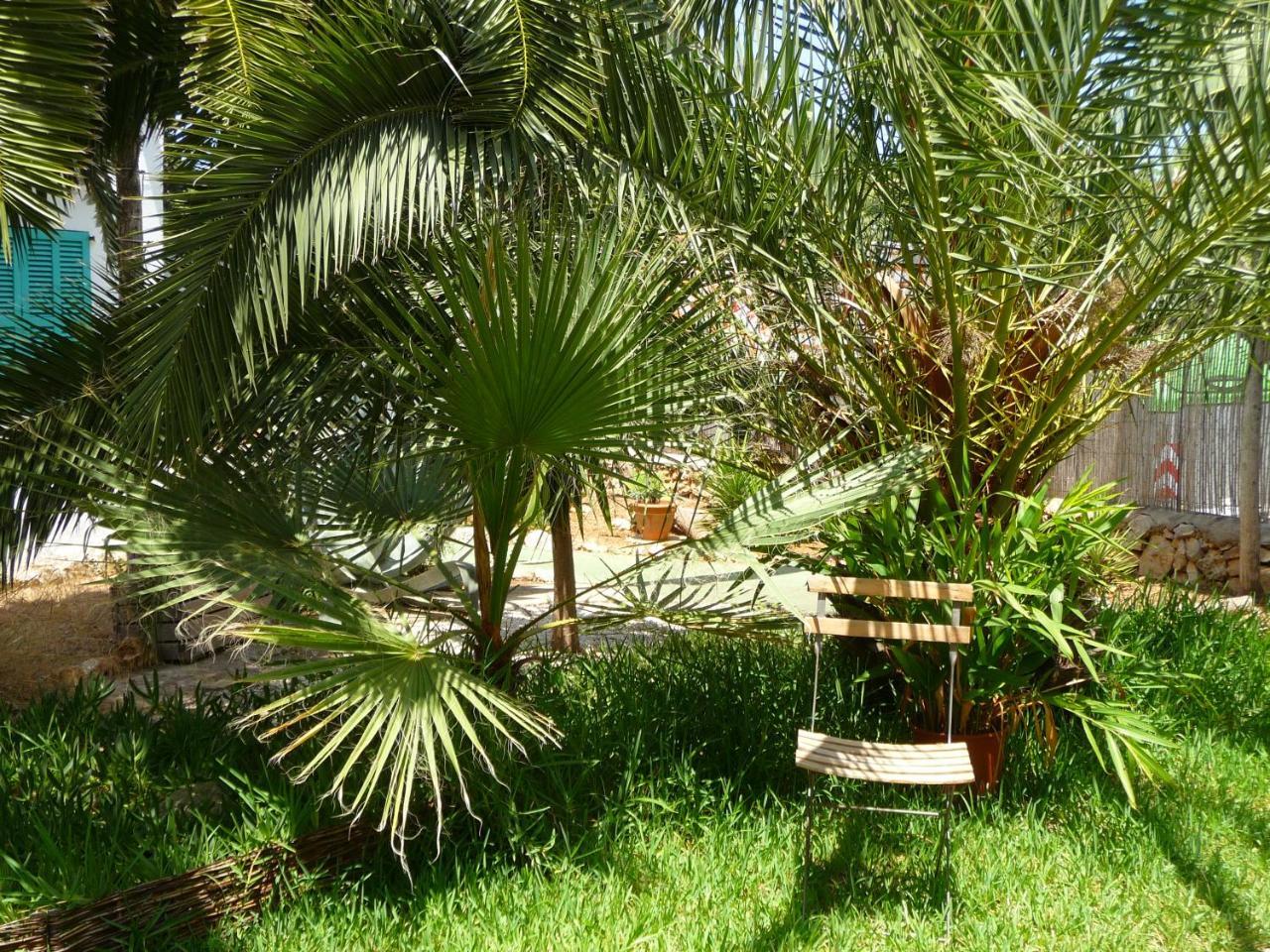 Apartahotel Casa Molily *