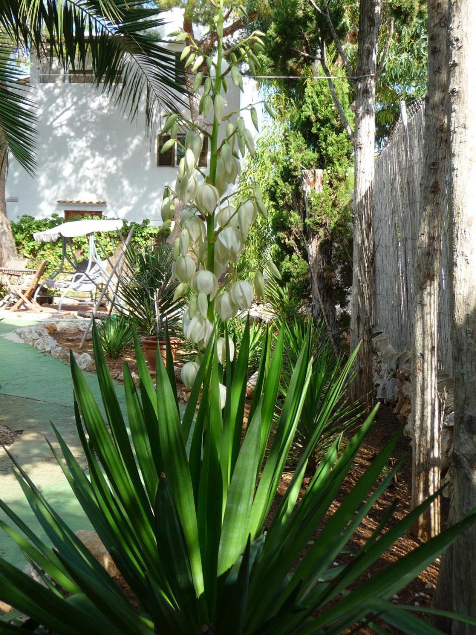 Casa Molily Apartahotel Palma de Mallorca