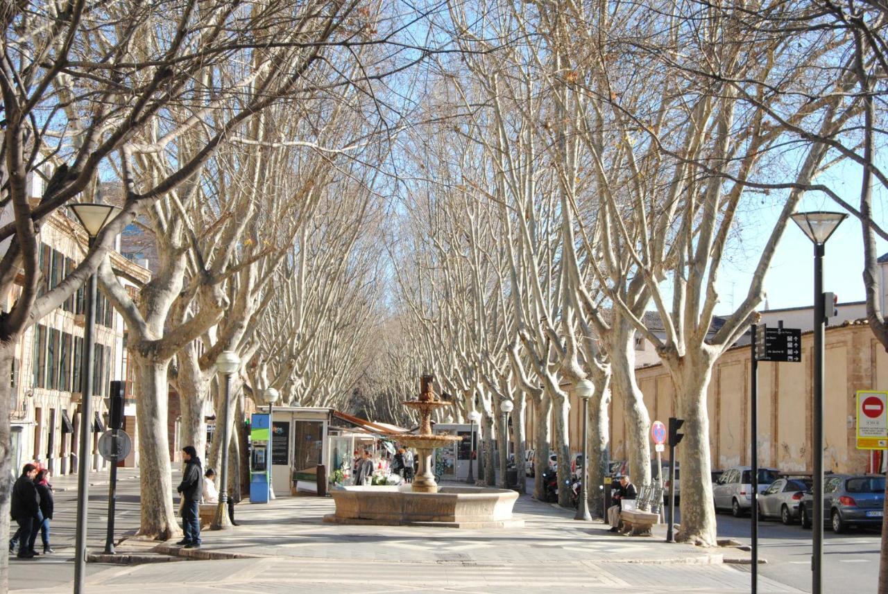 Cream Homes La Rambla, Turismo De Interior Palma de Mallorca