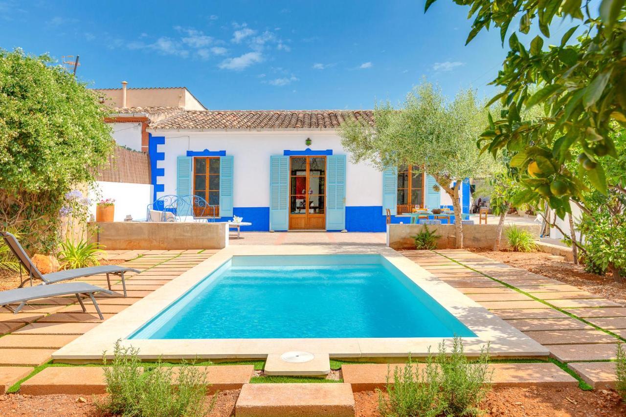Villa Palma, Establiments Palma de Mallorca