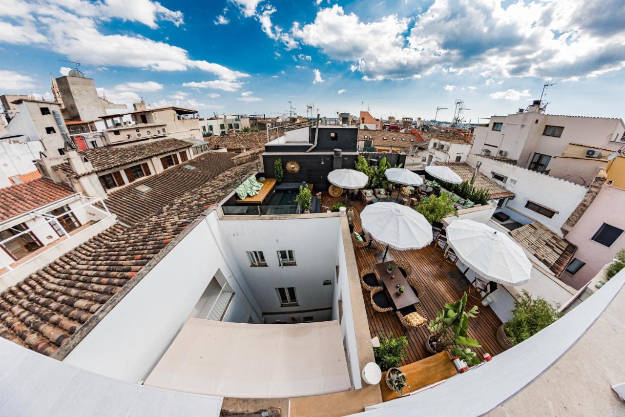 Puro Oasis Urbano Hotel Palma