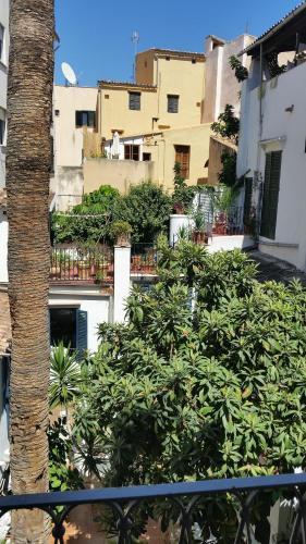 Pons * Palma