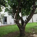 Residencia Mayol - Adults Only