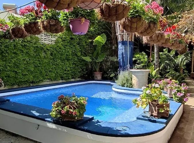 The Green House - Adults Only