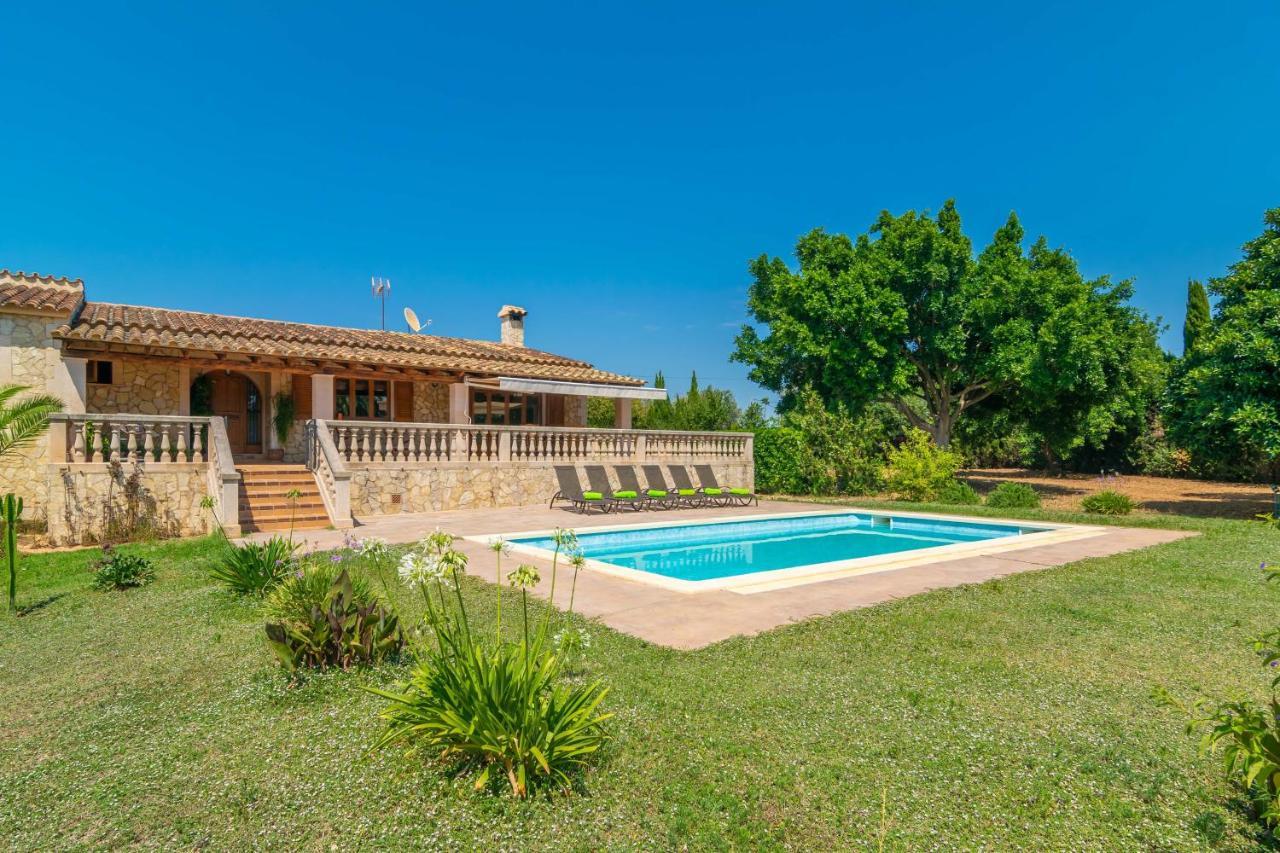 Villa Son Pax Petit *