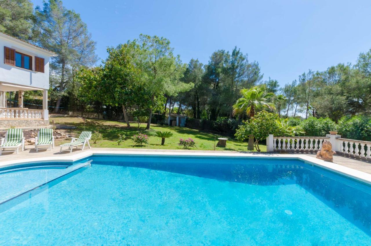 Your House Marques * Palma de Mallorca