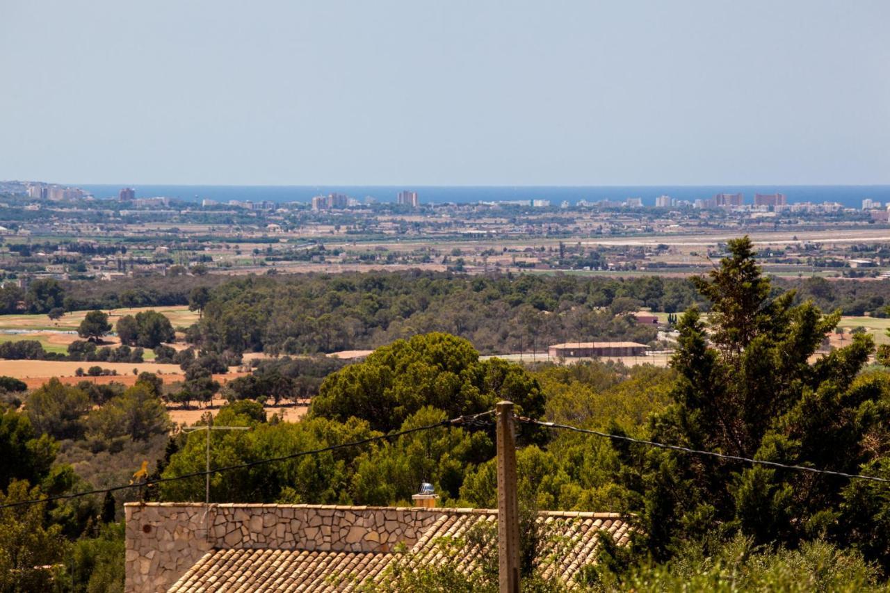 Imagine Villa Palma