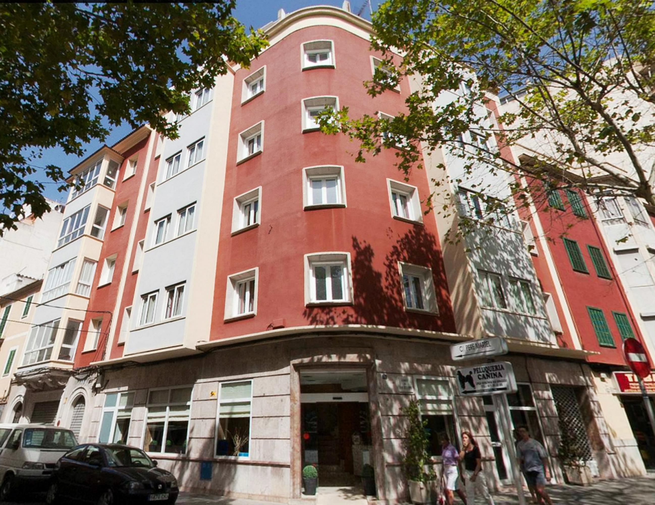 Amic Colon