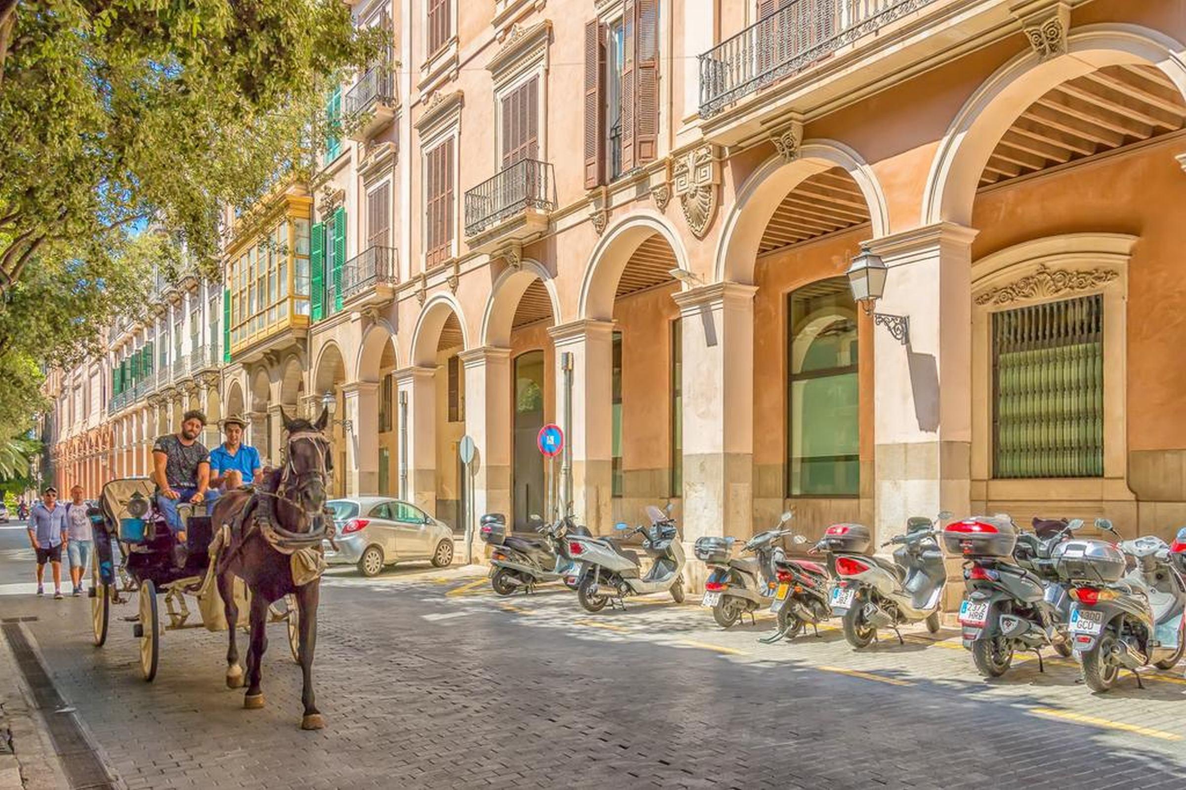 Icon Roseto Palma de Mallorca