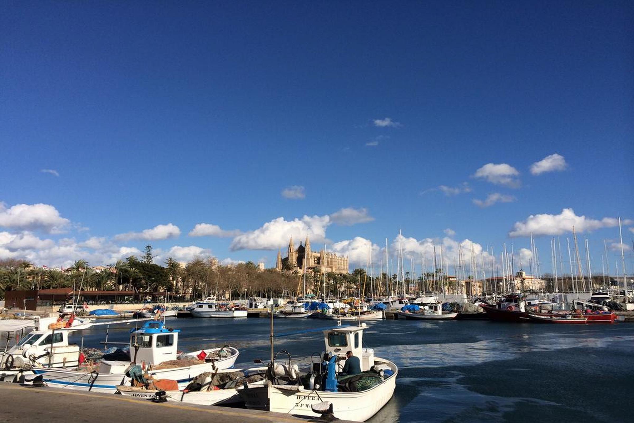 Icon Roseto Palma de Mallorca