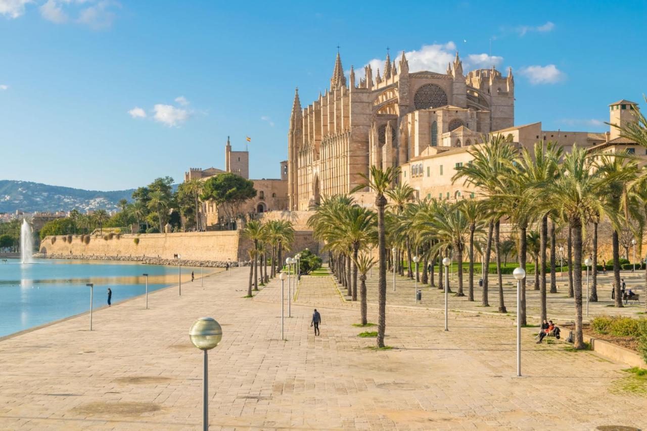 Evamas Palma