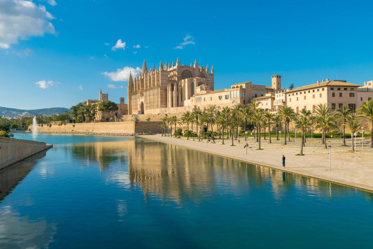 Evamas Palma