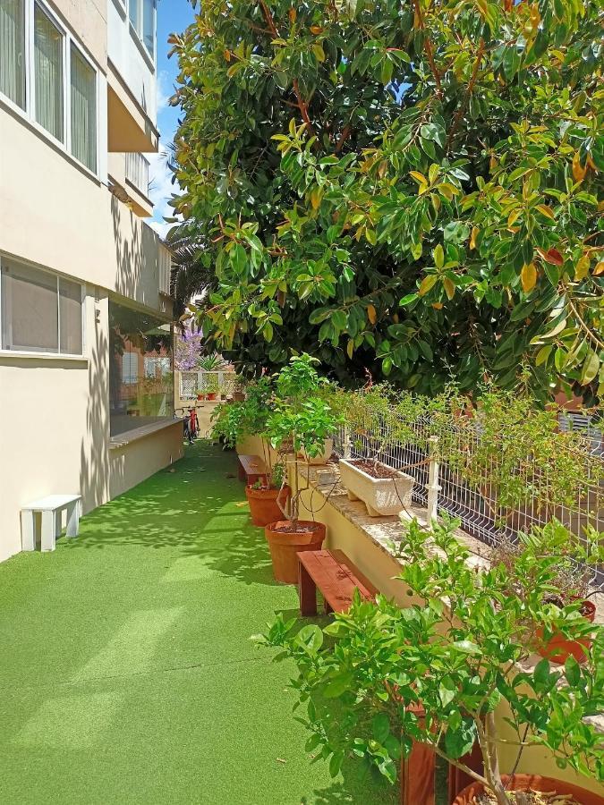 Port - Juvenil Palma