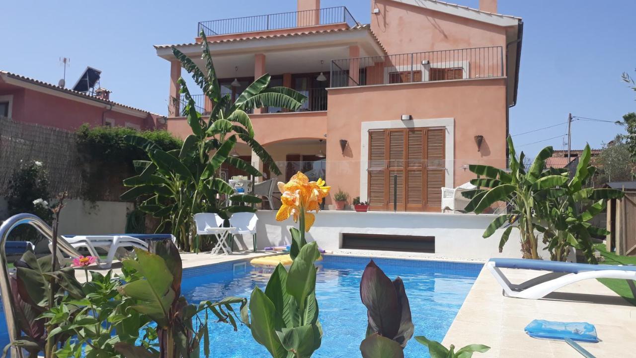 Ferienhaus Ecological Palma