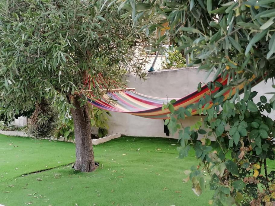 Ecological Palma de Mallorca