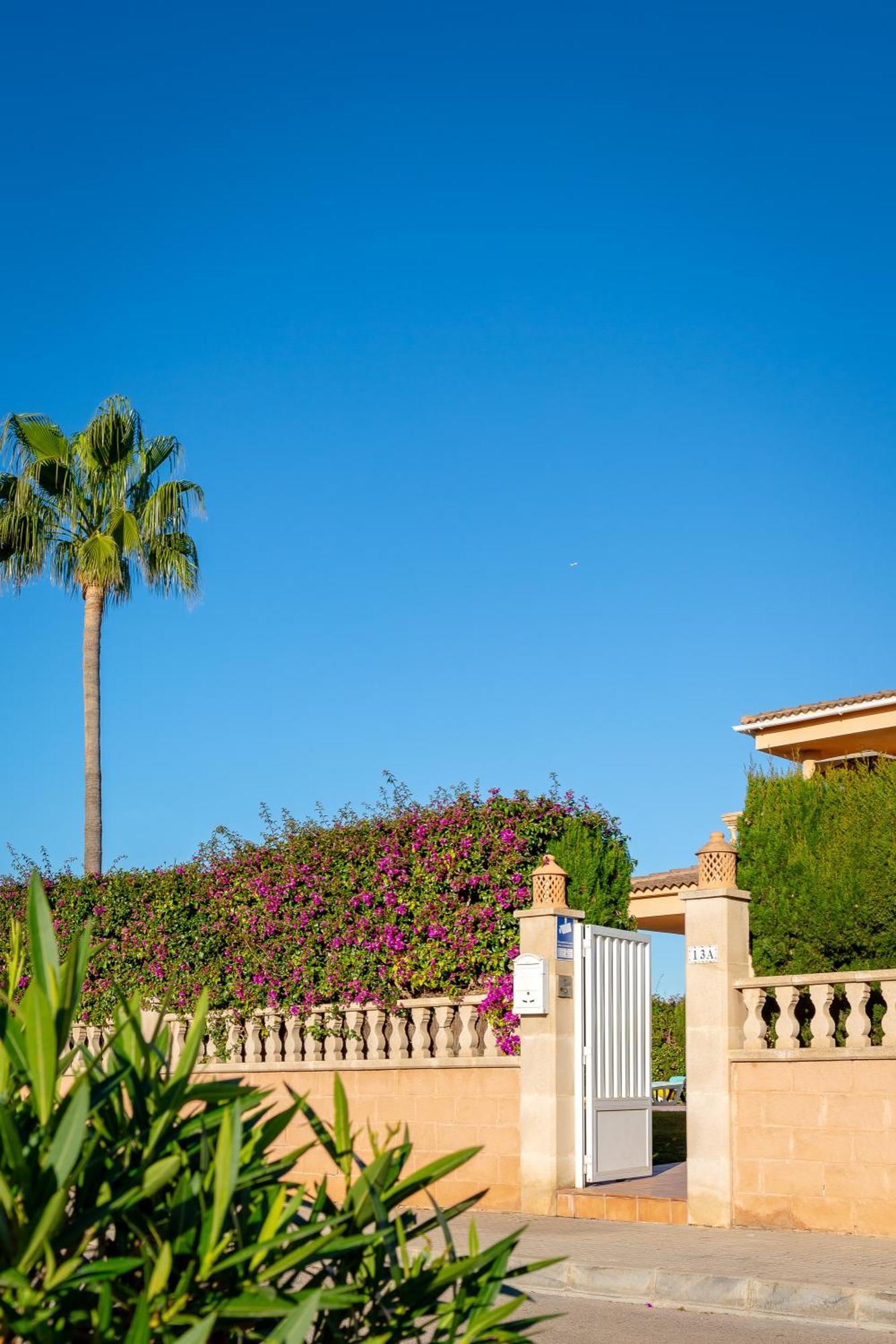 Palmera Villa *