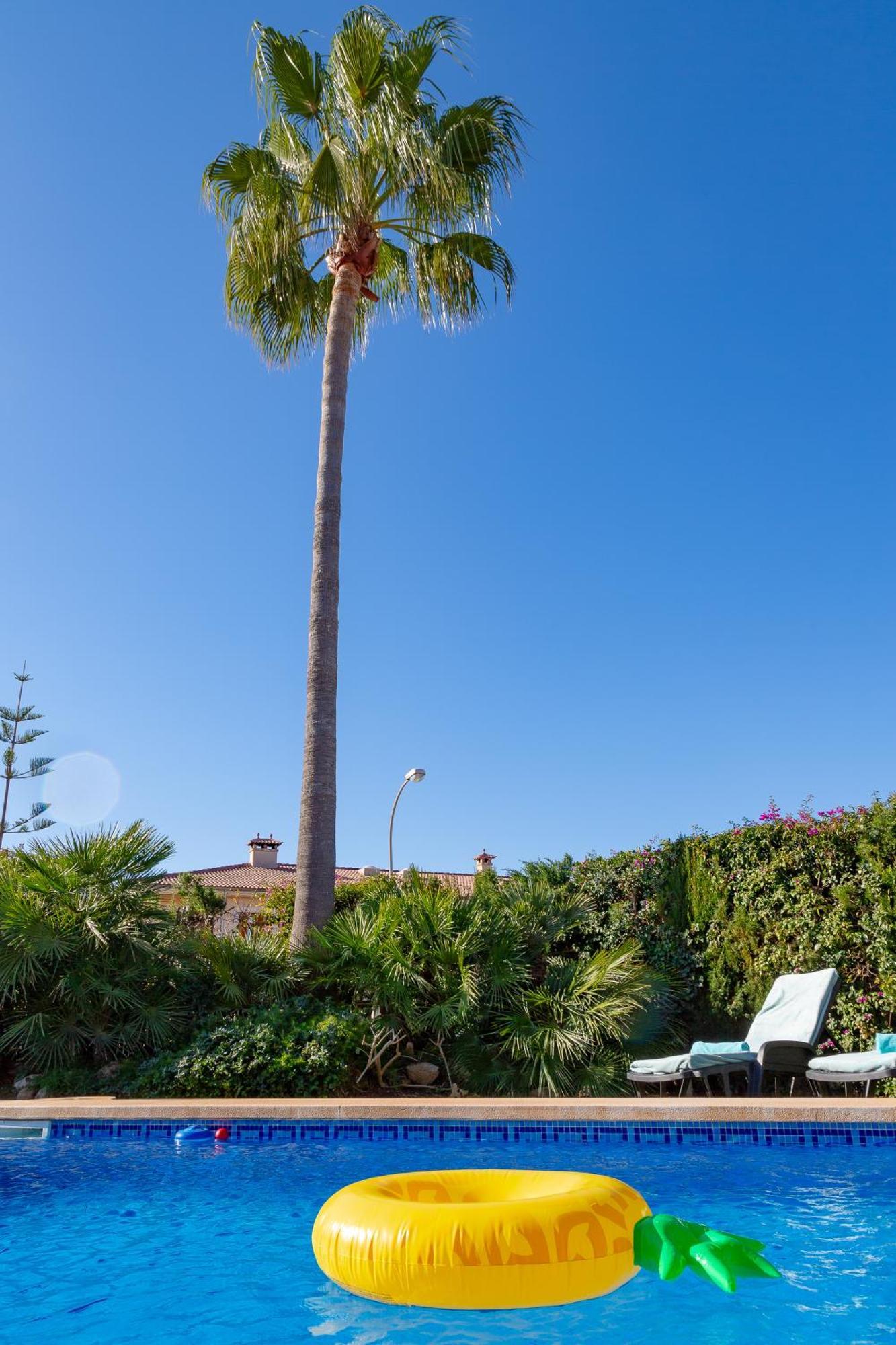 Villa Palmera *