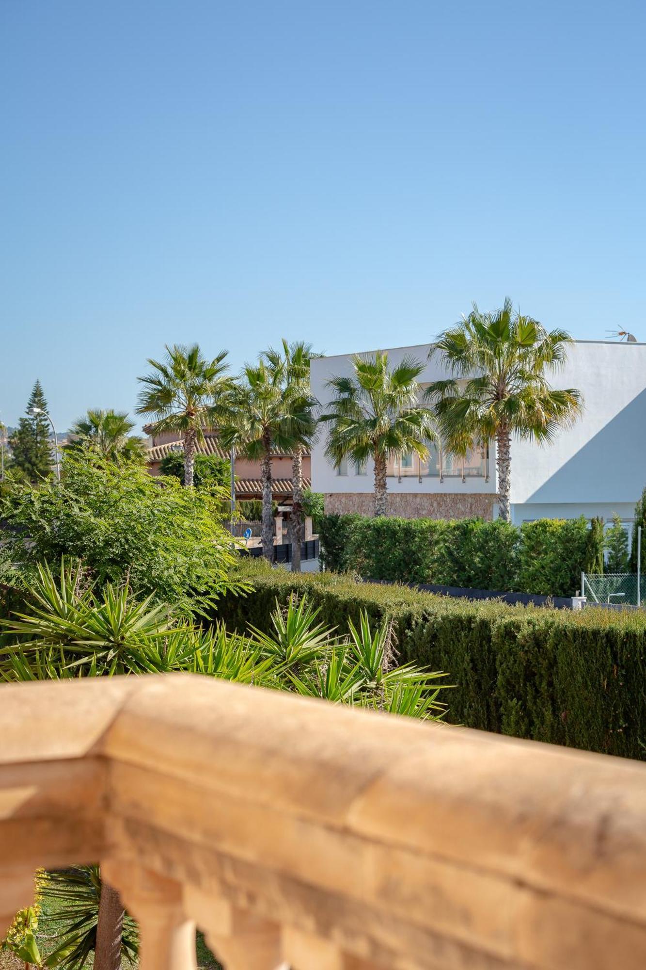 Palmera Villa *