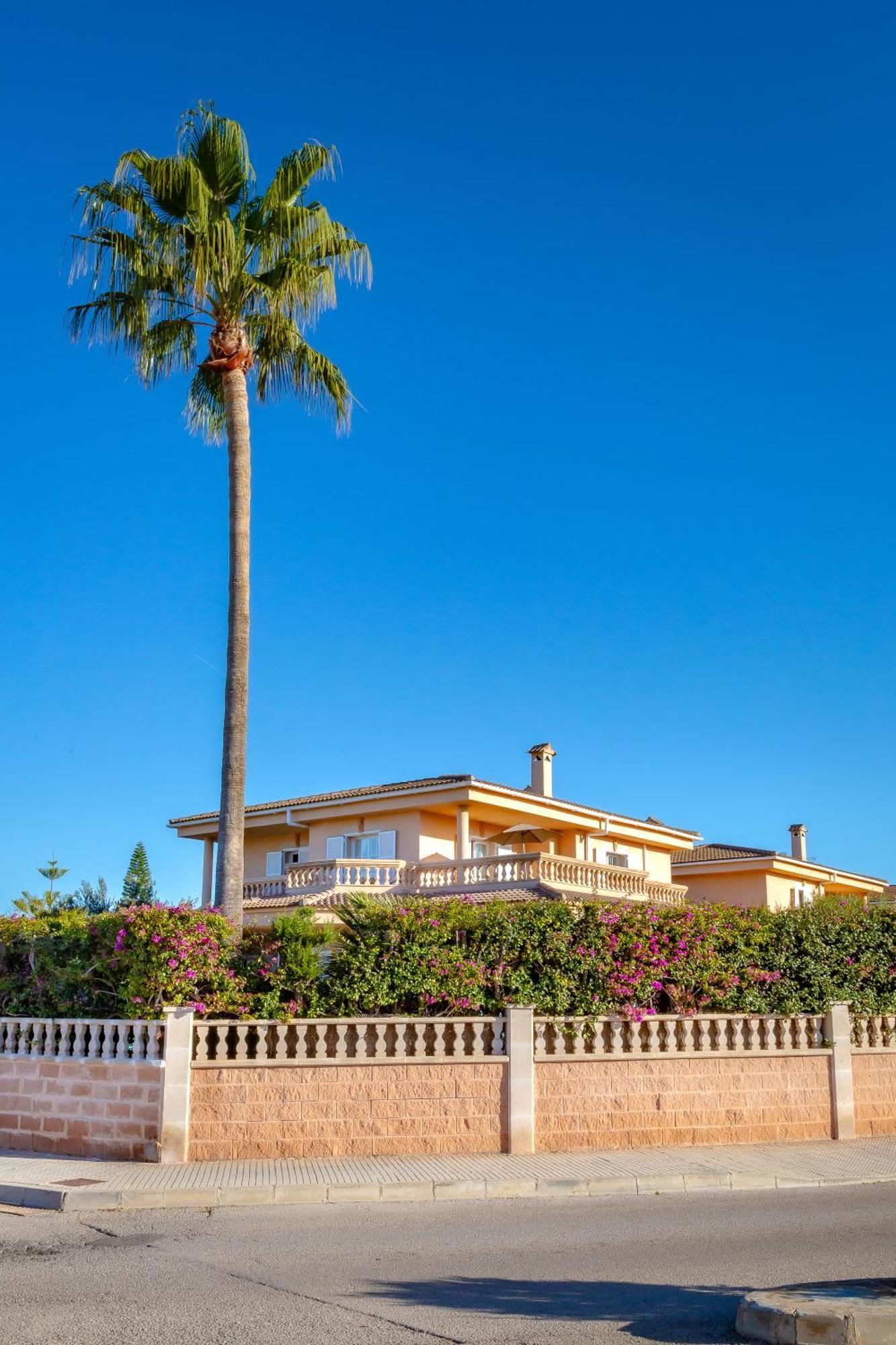 Palmera Villa Palma