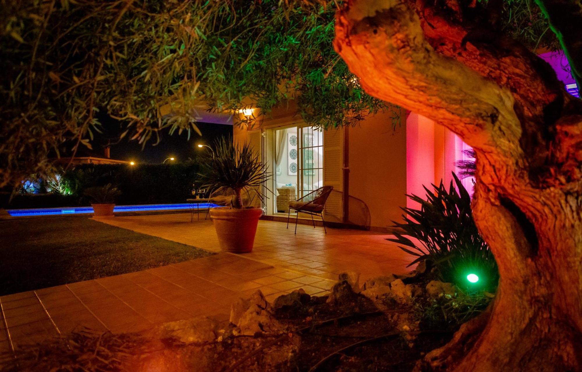 Villa Palmera