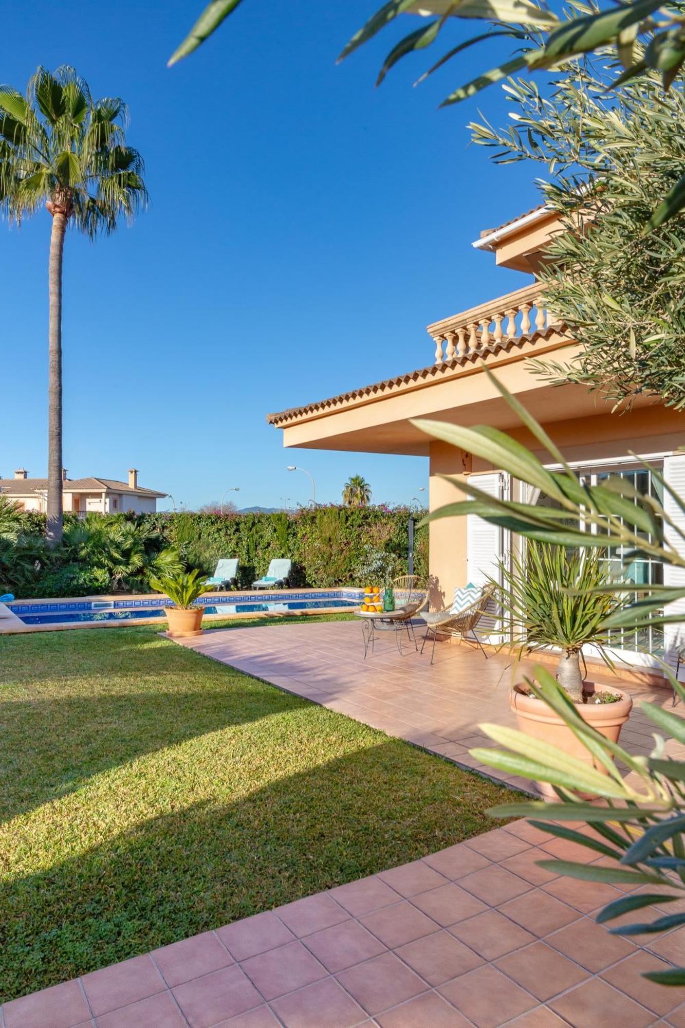 Palmera * Palma