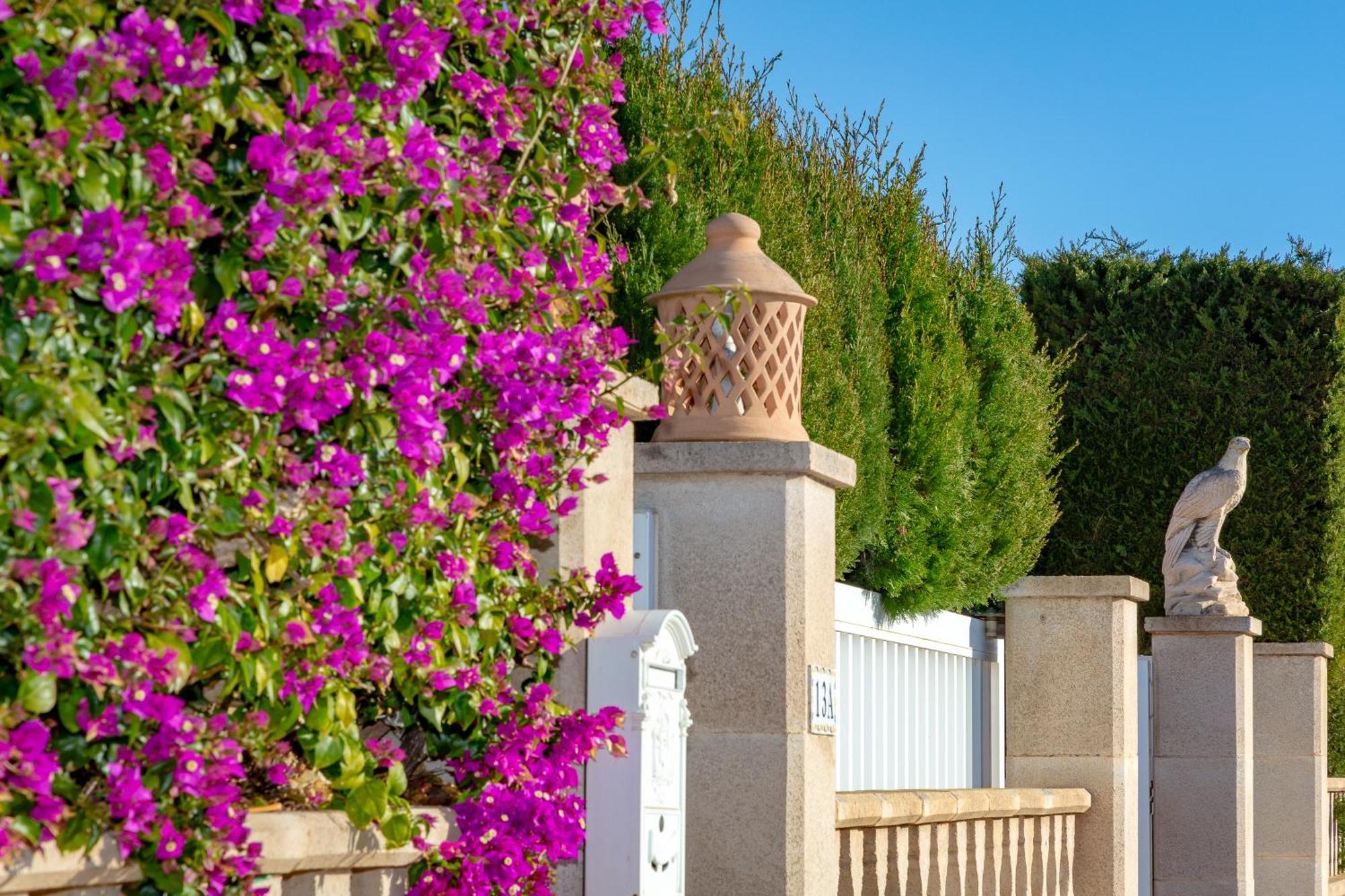 Palmera Villa *