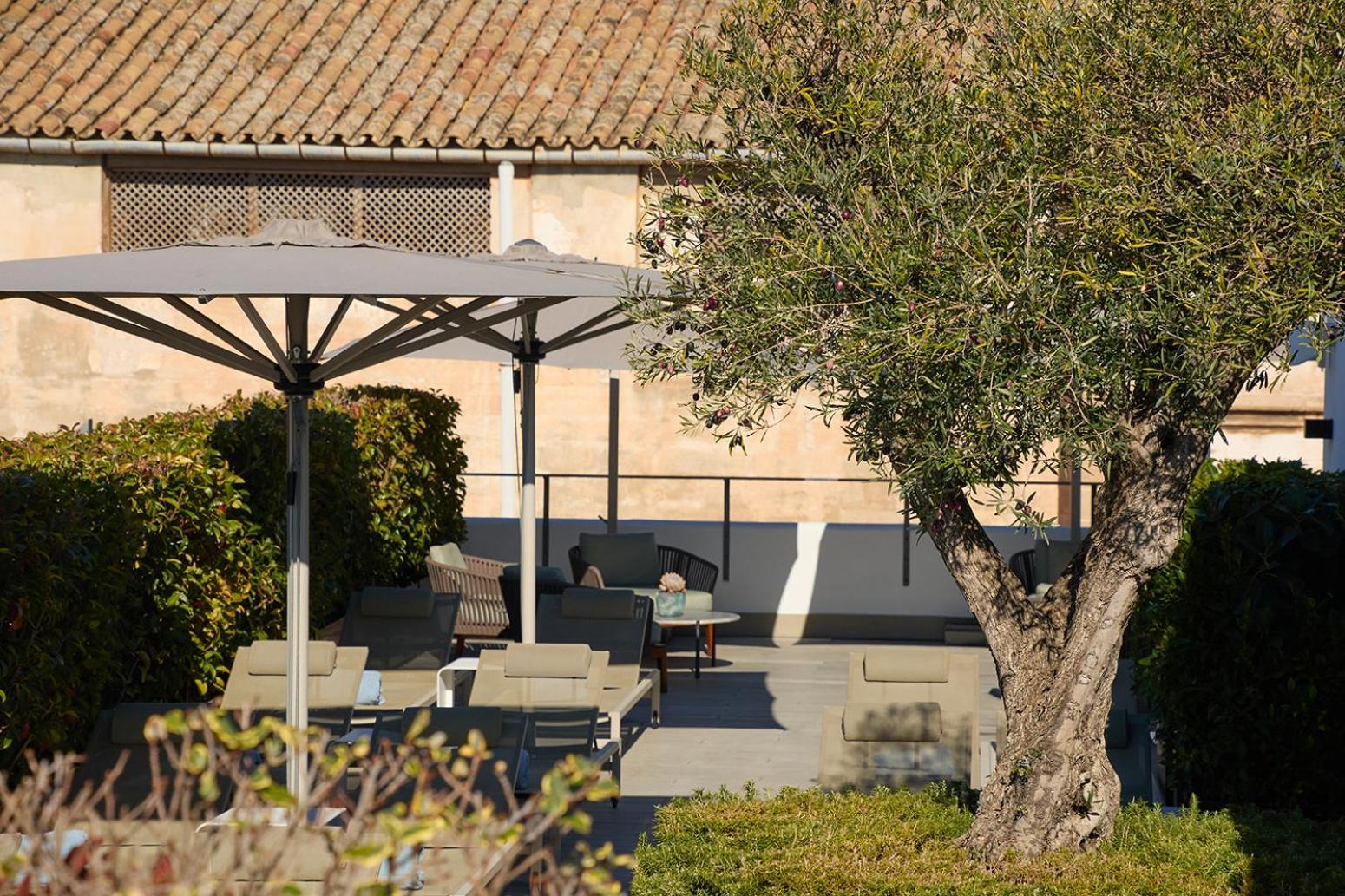 Sant Jaume Design Palma de Mallorca