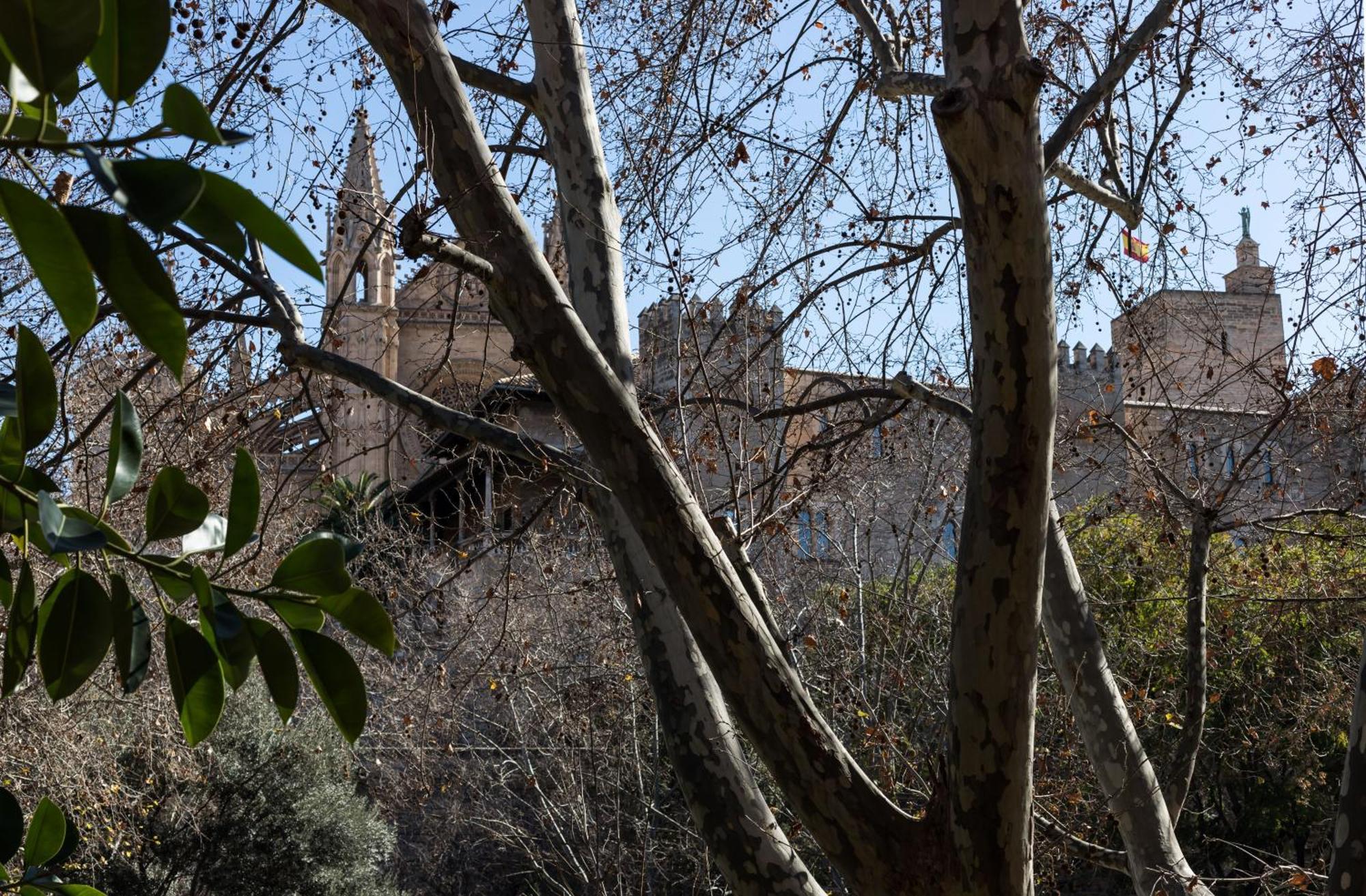 Apartamento Borne - Turismo De Interior Palma de Mallorca