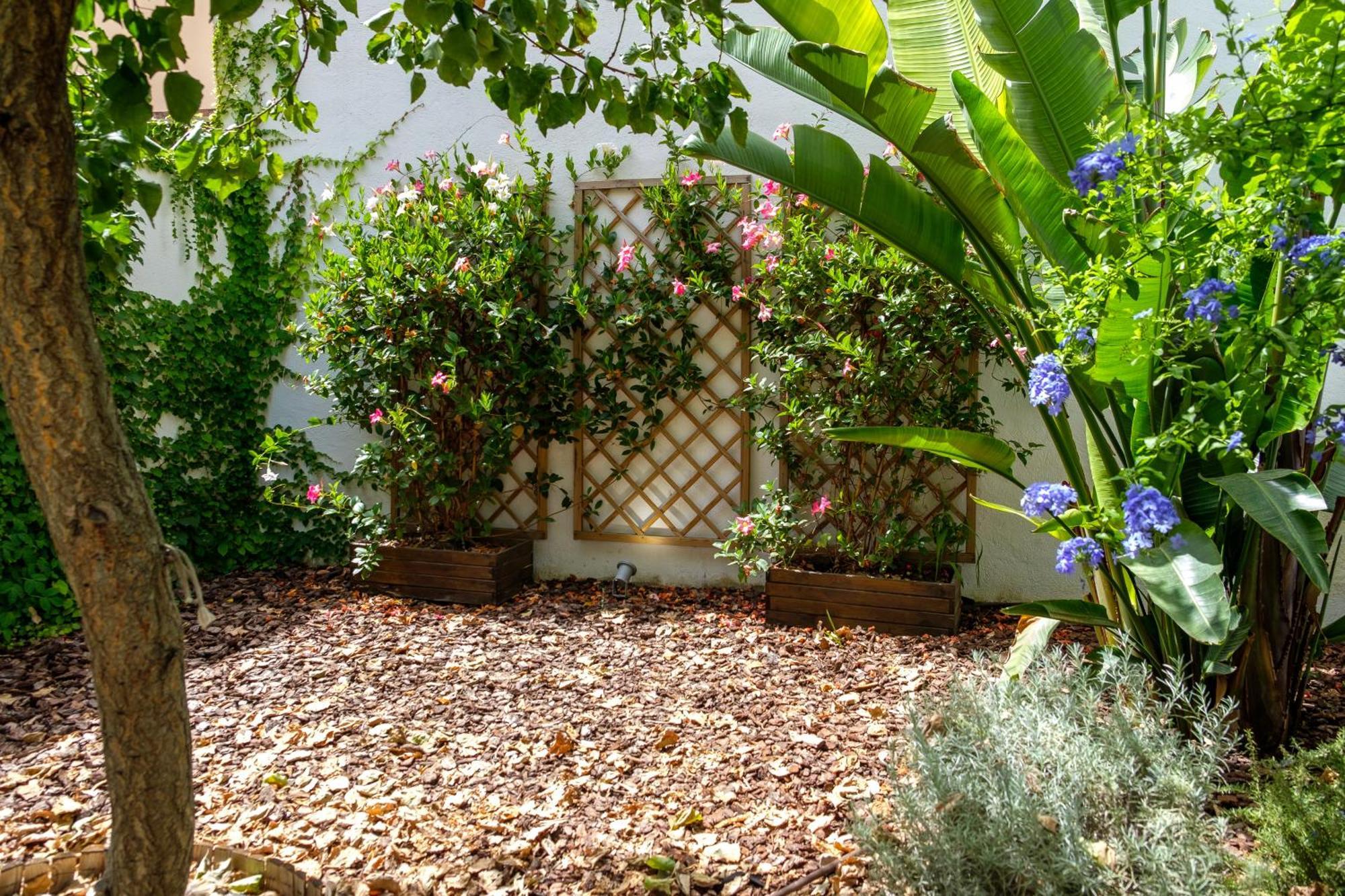 Pretty House Sa Font In Santa Catalina Palma