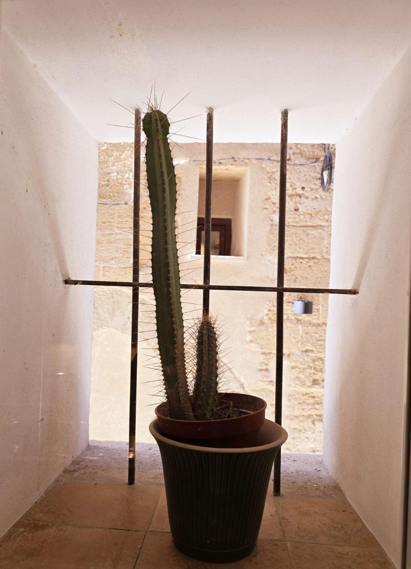 Appartement San Jaime Palace - *