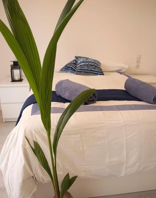 Ferienhaus Triana_villa In With Private Pool - Etv/10914 *