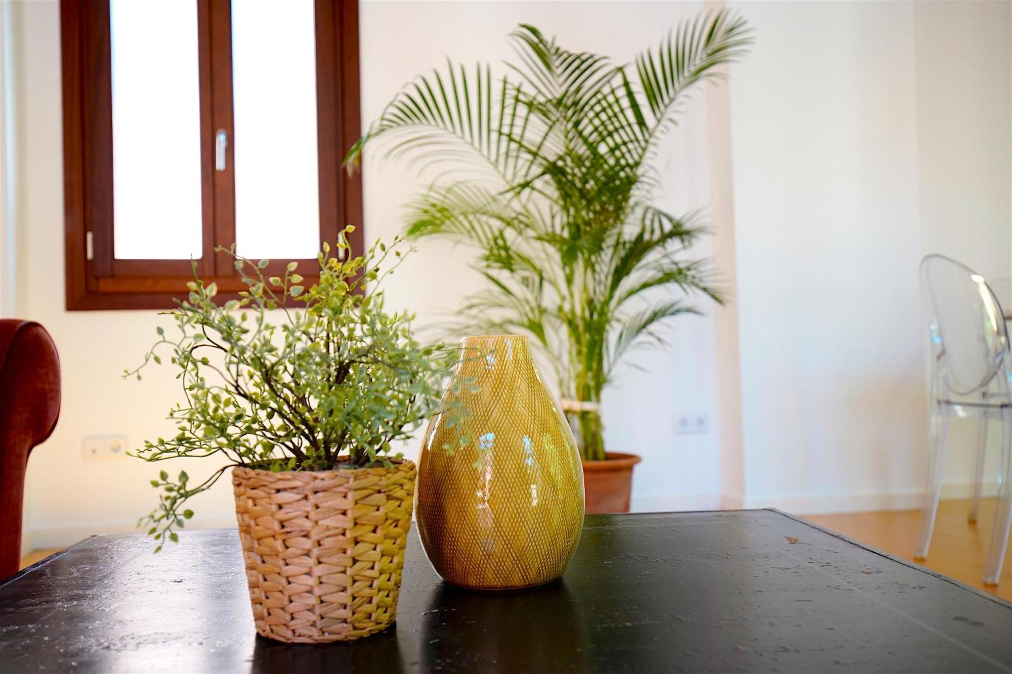 Apartment Montmari - Turismo De Interior Palma de Mallorca
