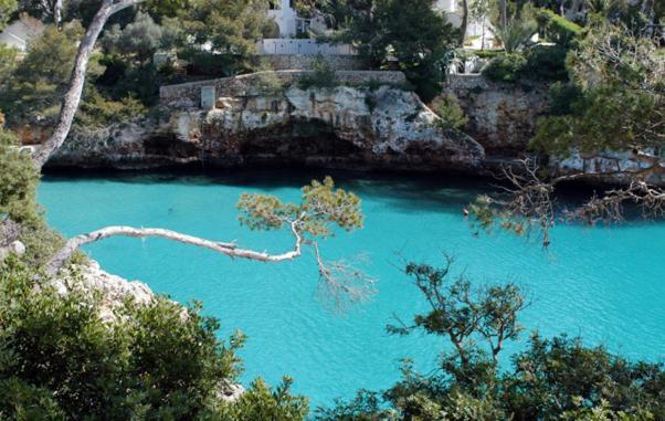 Serena Sol Palma de Mallorca